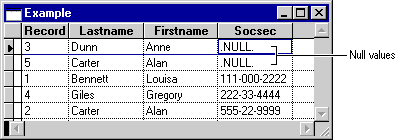 FoxProExampleTableNull screenshot